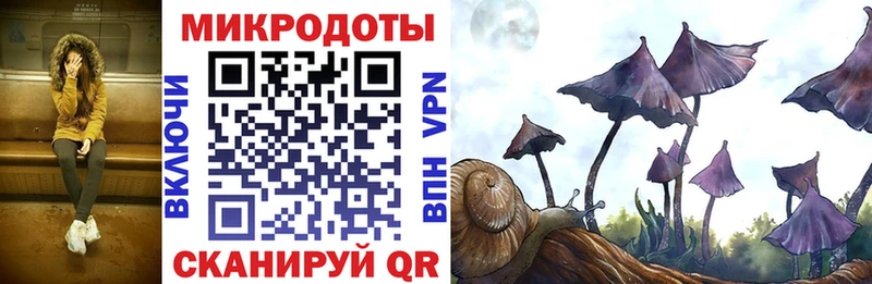 Галлюциногенные грибы Magic Shrooms  Саранск 