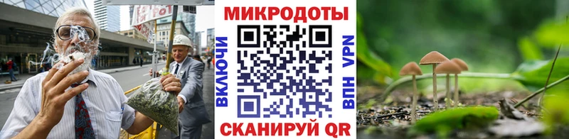 Галлюциногенные грибы Psilocybe Саранск